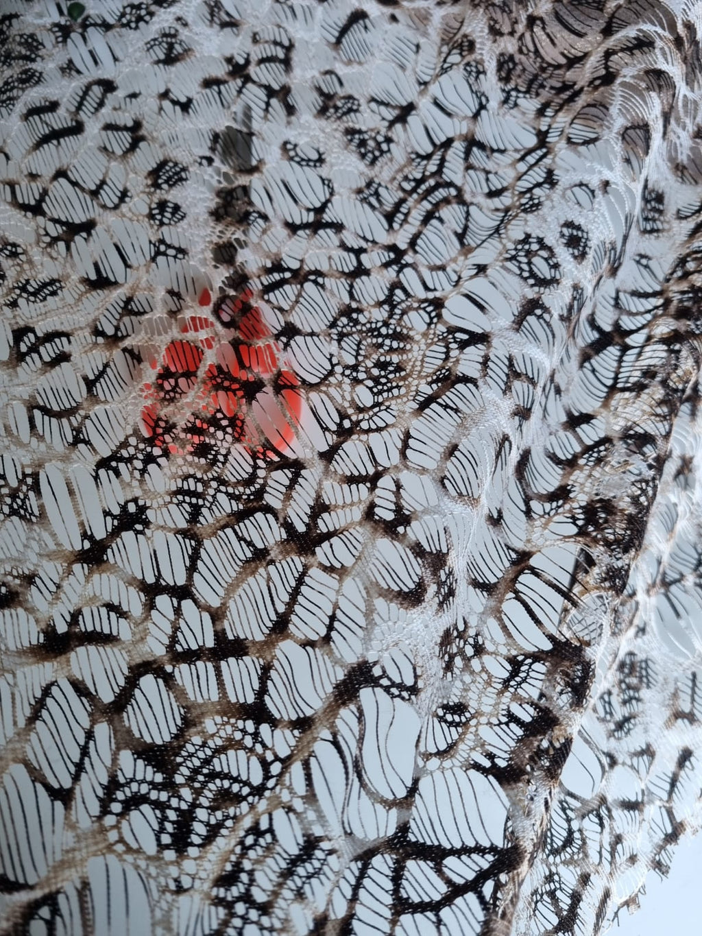 Photo réelle de la dentelle transparente à grandes mailles ajourées écru et marron
